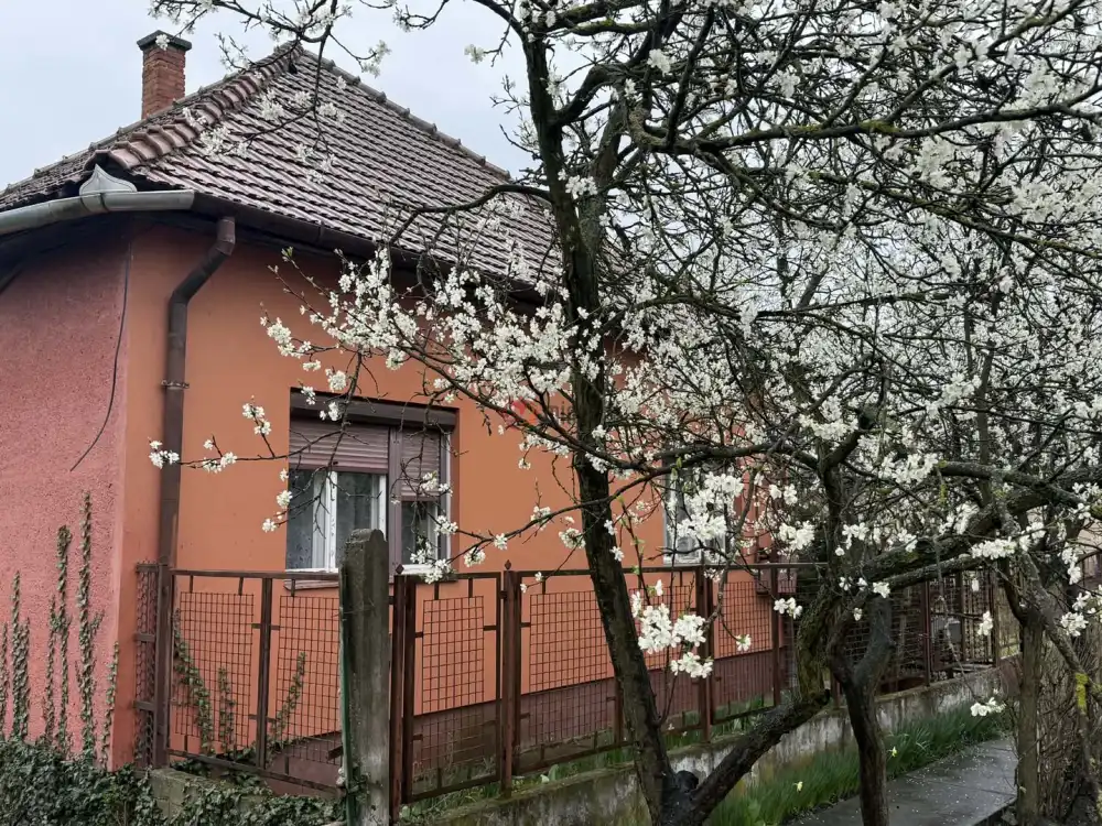 Hajdú-Bihar megye - Püspökladány