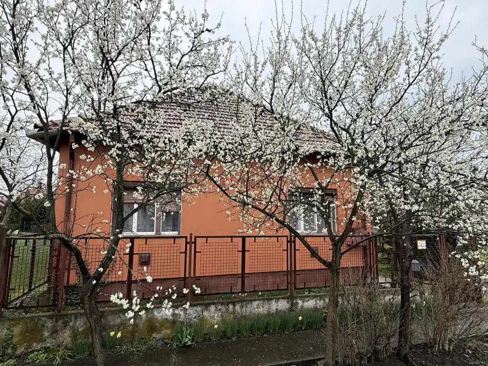 Hajdú-Bihar megye - Püspökladány