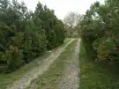 Hajdú-Bihar megye - Püspökladány